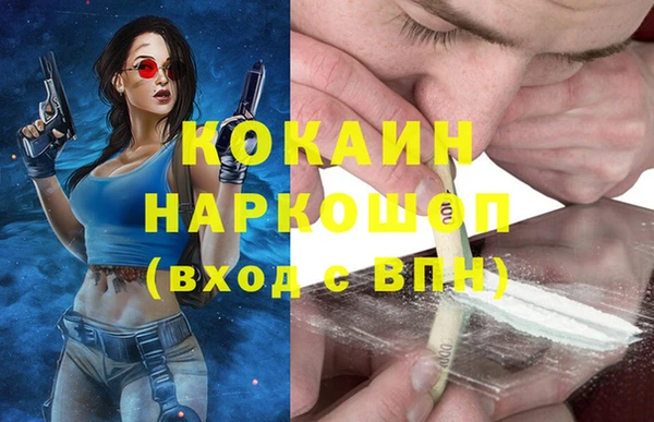 ПСИЛОЦИБИНОВЫЕ ГРИБЫ Арсеньев