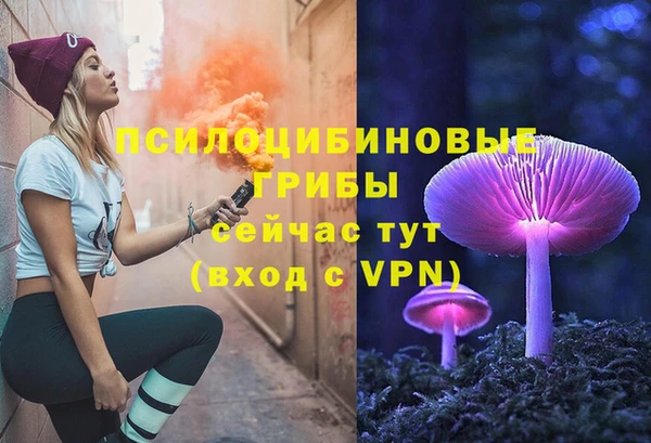 PSILOCYBIN Алзамай