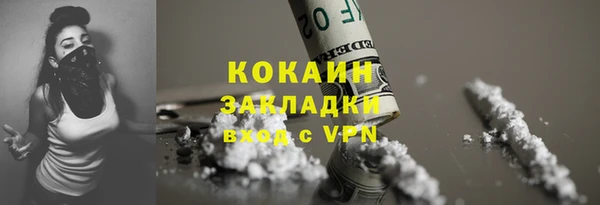 ПСИЛОЦИБИНОВЫЕ ГРИБЫ Арсеньев