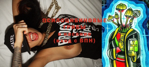 круглые Новозыбков