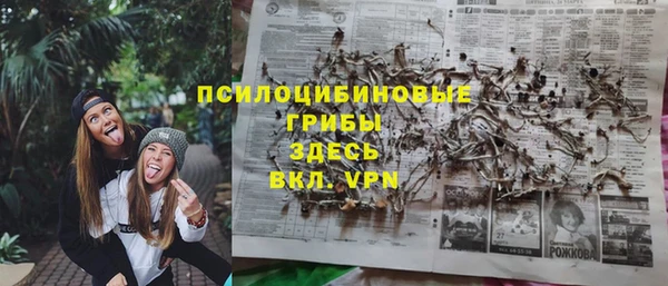 ПСИЛОЦИБИНОВЫЕ ГРИБЫ Арсеньев