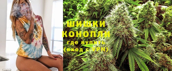 ПСИЛОЦИБИНОВЫЕ ГРИБЫ Арсеньев