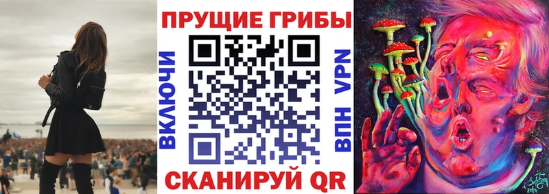 Галлюциногенные грибы Magic Shrooms  цены   OMG зеркало  Асино 